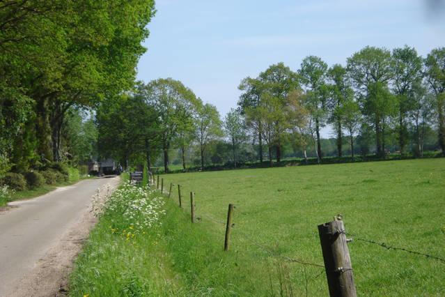 Chalet Gerda Villa Putten Eksteriør billede